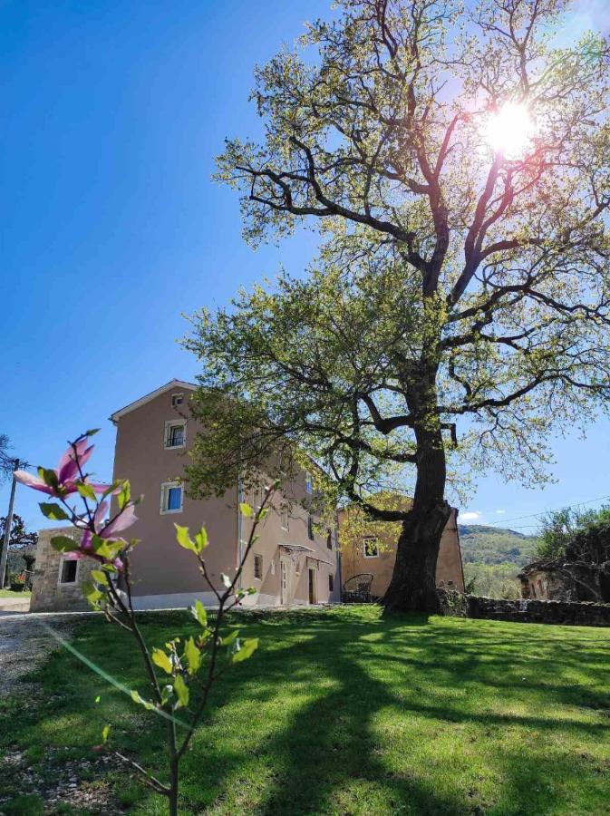 Casa Quieto Villa Мотовун Екстериор снимка